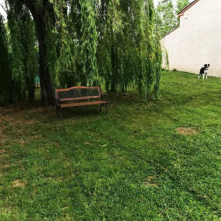 Jeanguy Andrieu Apartment