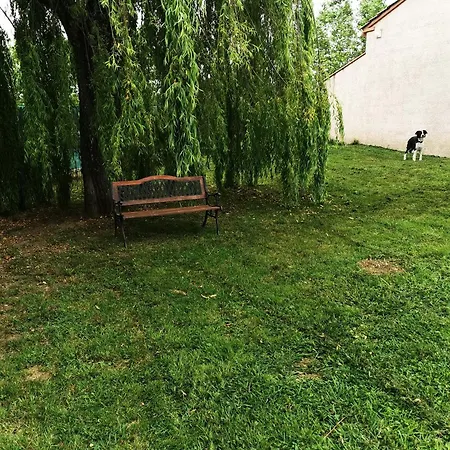 Jeanguy Andrieu Apartment