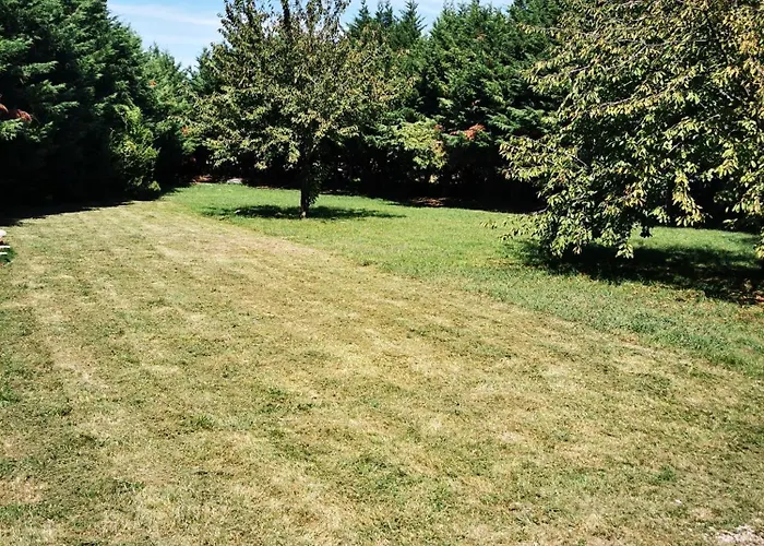 Jeanguy Andrieu * Labruguière