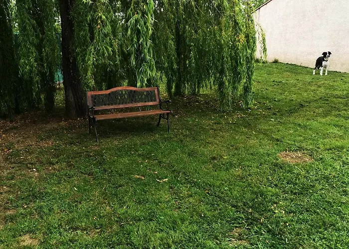 Jeanguy Andrieu Appartement